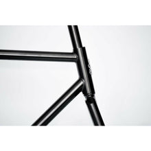 Load image into Gallery viewer, Squid Bikes So-Ez Track Frame