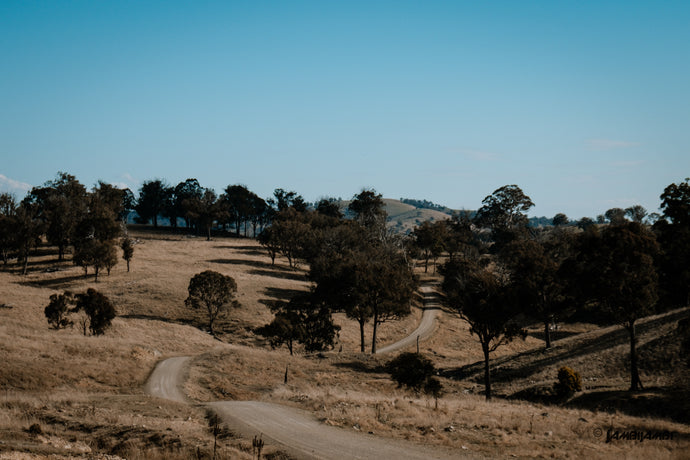 Walcha Gravel Ride 76km |1 Day