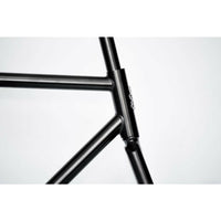 Load image into Gallery viewer, Squid Bikes So-Ez Track Frame
