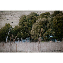 Load image into Gallery viewer, Walcha Gravel Ride 76km | 1 day