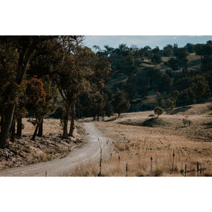 Walcha Gravel Ride 76km | 1 day