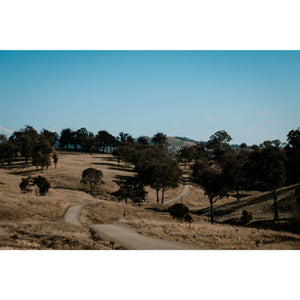 Walcha Road Lunch Mix Terrain XL 109km | 1 Day