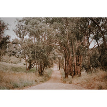 Load image into Gallery viewer, Walcha Overnighter 165km | 2 Days