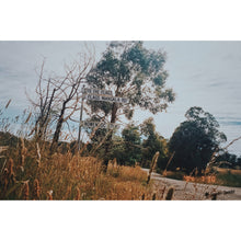 Load image into Gallery viewer, Walcha Grand South Tour | 387km | 4 - 5 Days